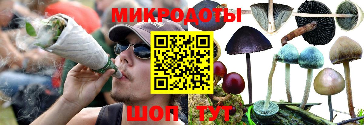 Псилоцибиновые грибы Psilocybe  закладки  Волжск  Вход с VPN 